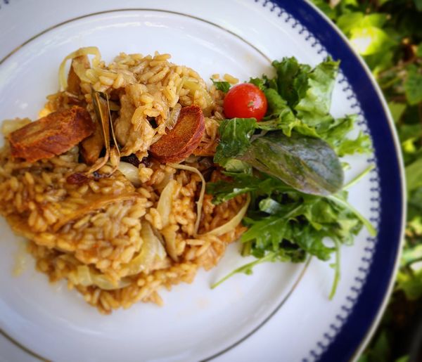 Arroz amigo do pato