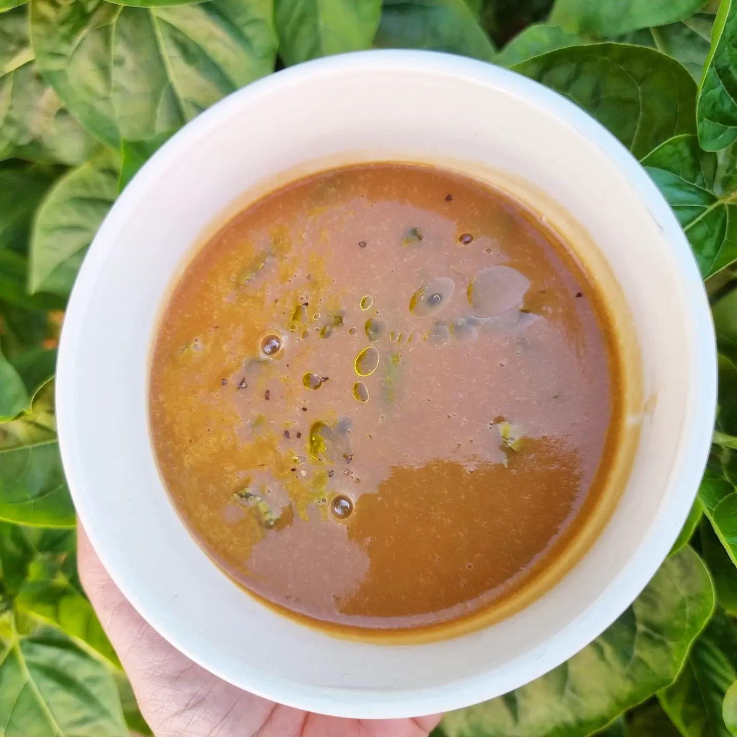 Sopa rosa